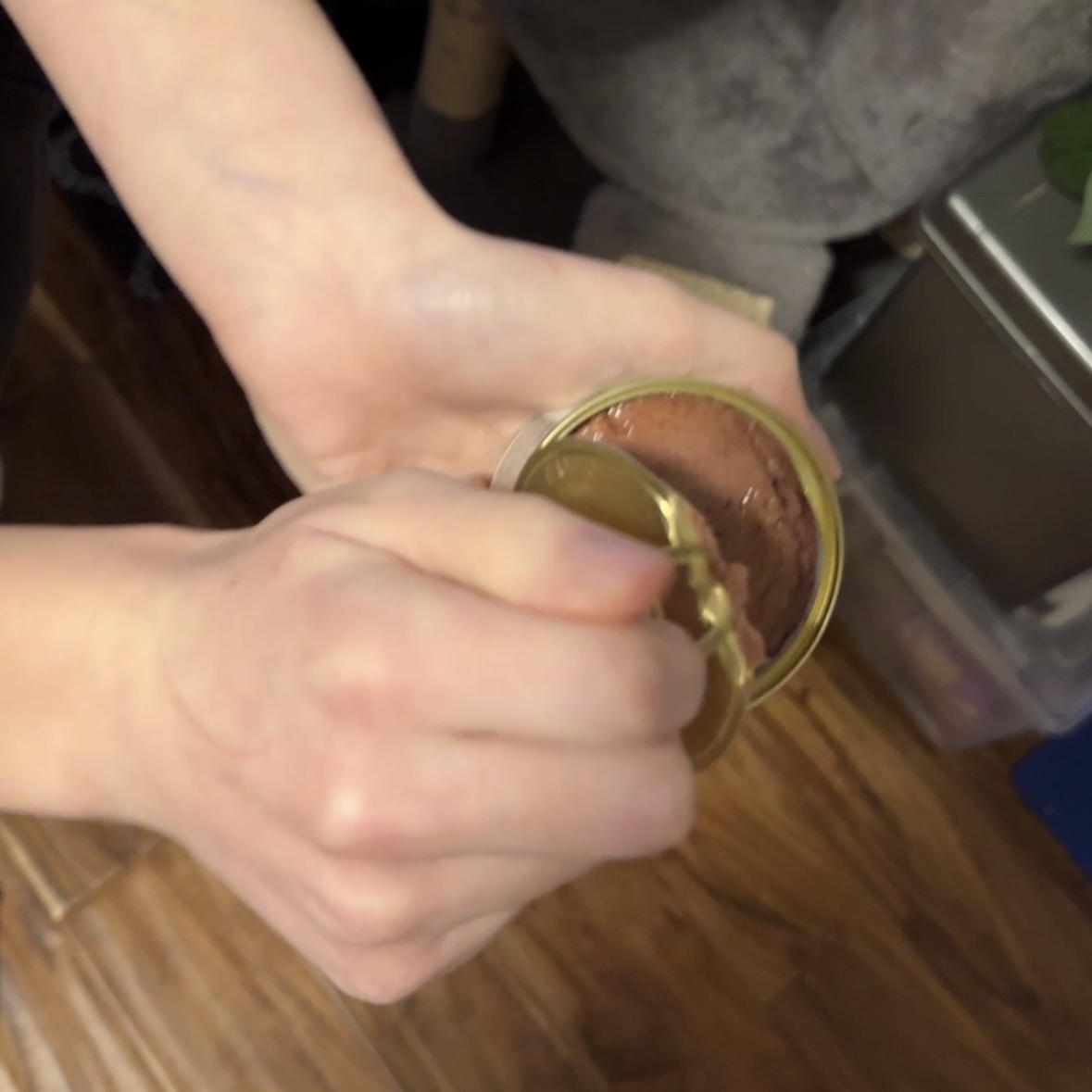 This is my cats wetfood. They get wetfood twice a day and the sound is of my sister opening the can.