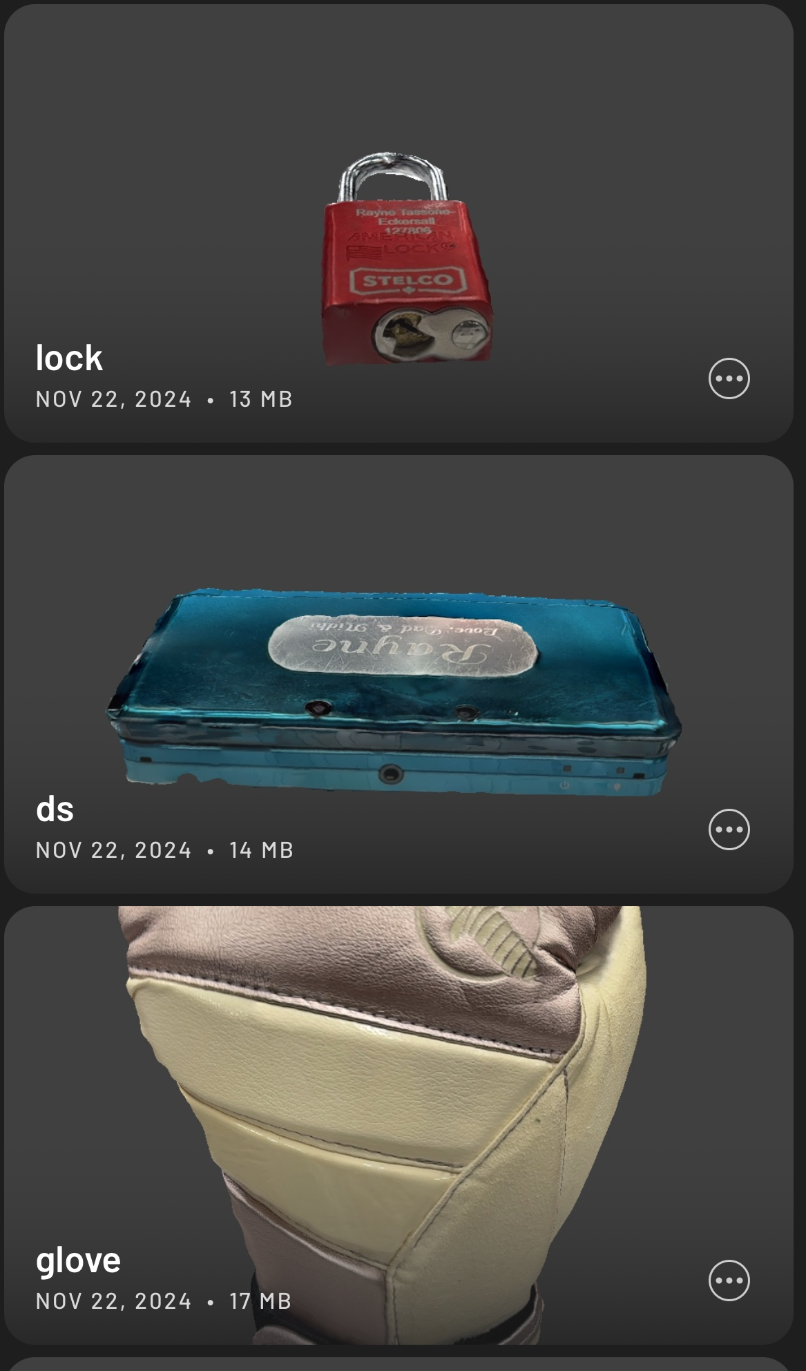All of my scanned objects in the app on the library.